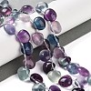 Natural Fluorite Beads Strands G-G116-A01-02-2