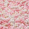 Macaron Color Opaque Frosted Glass Seed Beads X1-SEED-K009-12B-02-3