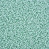 13/0 Glass Seed Beads SEED-T005-14A-A19-3