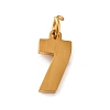 304 Stainless Steel Charms LS-STAS-A106-01G-07-1