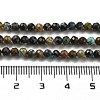 Natural HuBei Turquoise Beads Strands G-G140-A05-01-5