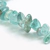 Natural Apatite Chip Beads Strands X-G-L154-23-2
