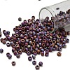 TOHO 6/0 Round Beads SEED-TR06-0406F-1