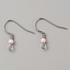 304 Stainless Steel Earring Hooks LS-STAS-WH0027-64P-01-1