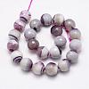 Faceted Natural Agate Beads Strands G-F344-27-2