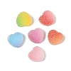 Imitation Candy Food Style Resin Cabochons RESI-R461-01M-1