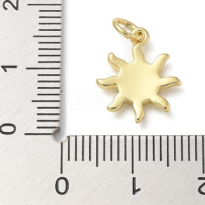 Rack Plating Brass Enamel Charms KK-K392-50G-03-1