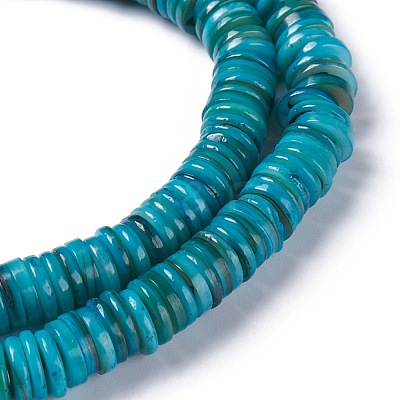 Natural Freshwater Shell Beads Strands BSHE-I016-04C-1