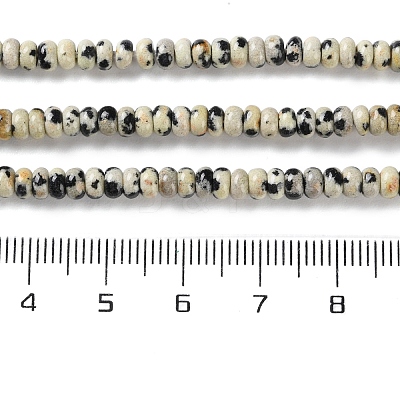 Natural Dalmatian Jasper Beads Strands G-K343-C36-01-1