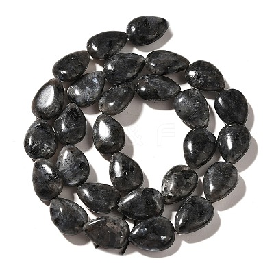 Natural Larvikite Beads Strands G-I377-A10-1