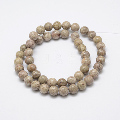 Natural Fossil Coral Beads Strands G-G735-52-8mm-1