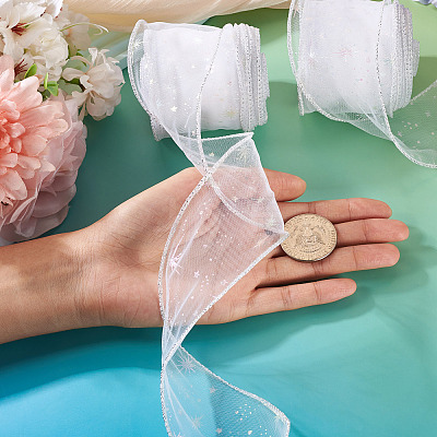 Polyester Deco Mesh Ribbons OCOR-TAC0024-004E-1