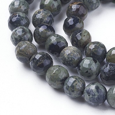 Natural Kambaba Jasper Beads Strands G-P430-11-B-1