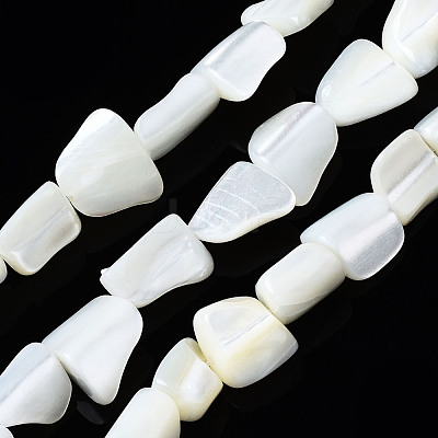Natural Trochid Shell/Trochus Shell Beads Strands SSHEL-S266-006-1