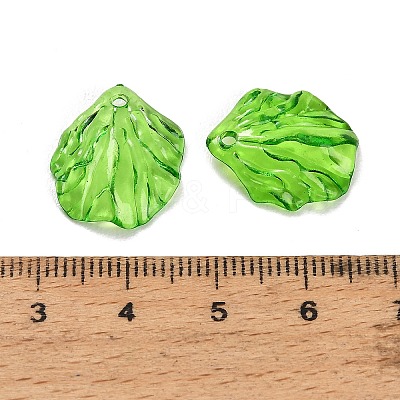 Transparent Acrylic Pendants AC-CBA5040-01F-1