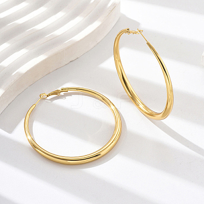304 Stainless Steel Big Hoop Earrings ZF8323-2-1