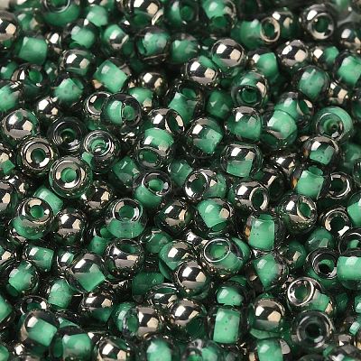 Transparent Inside Colours Glass Seed Beads SEED-H002-A-C221-1