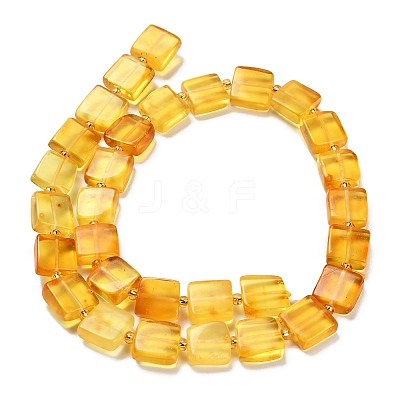 Natural Amber Beads Strands G-C260-A01-01-1