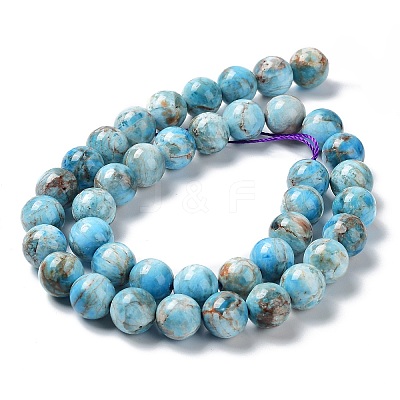 Natural Apatite Beads Strands G-G858-01C-1