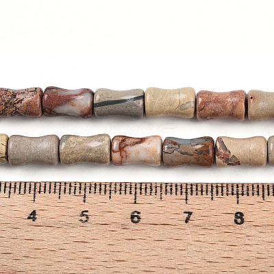 Natural Aqua Terra Jasper Beads Strands G-T140-93-1