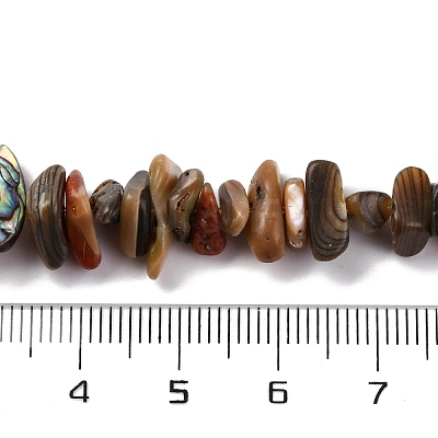 Natural Paua Shell Beads Strands BSHE-B007-05-1