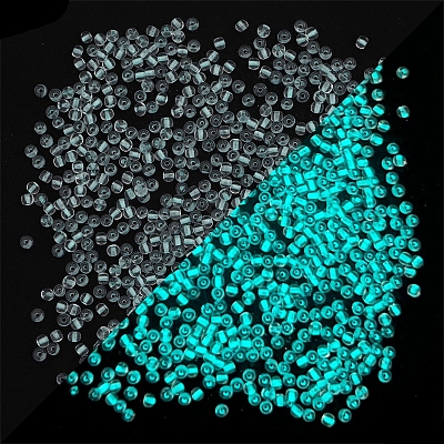 8/0 Luminous Glass Seed Beads X-LUMI-PW0001-186B-09-1