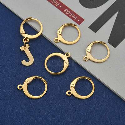 304 Stainless Steel Leverback Earring Findings STAS-P210-30G-1