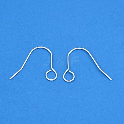 304 Stainless Steel Earring Hooks STAS-B047-31S-1