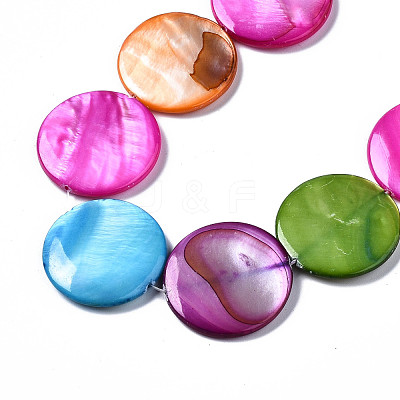 Natural Freshwater Shell Beads Strands SHEL-Q024-005-1