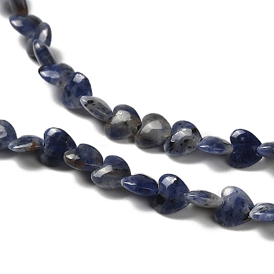 Natural Sodalite Beads Strands G-P575-C15-6mm-1