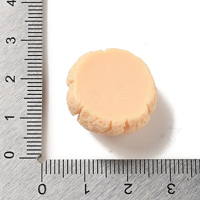 Opaque Resin Imitation Food Decoden Cabochons LS-CRES-A058-02A-1