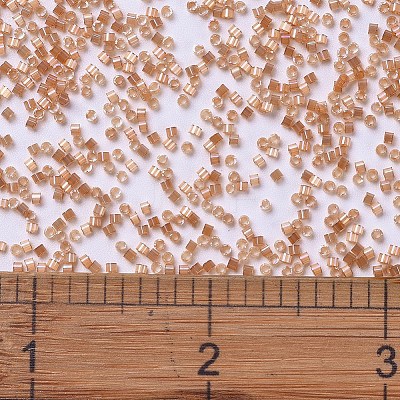 MIYUKI Delica Beads SEED-X0054-DB1864-1
