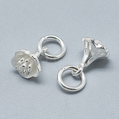 925 Sterling Silver Charms STER-T002-49S-1