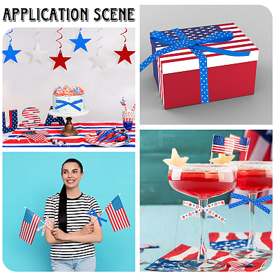 2 Rolls 2 Styles Independence Day Themes Polyester Ribbon OCOR-GF0004-50B-1