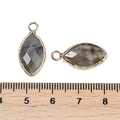 Natural Labradorite Faceted Pendants G-G193-01G-10-1