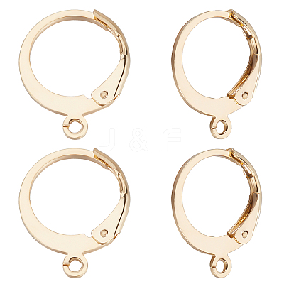 100Pcs 304 Stainless Steel Leverback Earring Findings STAS-BBC0002-03-1