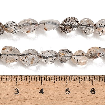 Natural Biotite Beads Strands GG-CBAC61B-B02-02-A-1