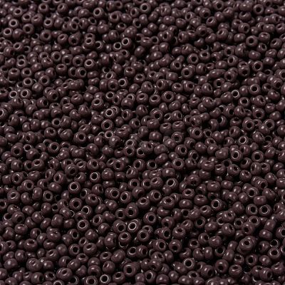 MIYUKI Round Rocailles Beads X-SEED-G008-RR0497-1