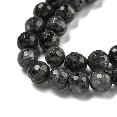 Natural Larvikite Beads Strands G-E571-A09-02-1