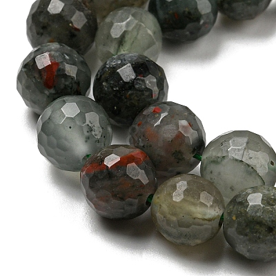 Natural Afican Bloodstone Beads Strands G-C079-B02-01-1