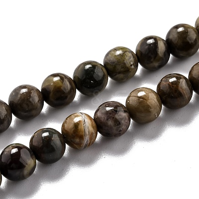 Round Natural Ocean Agate/Ocean Jasper Beads Strands G-L574-02A-1