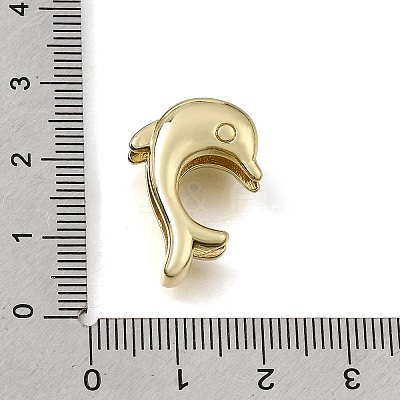 Brass Slide Charms KK-CBAEEA8-19G-1