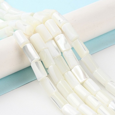 Natural Trochus Shell Beads Strands X-BSHE-Z003-18-1