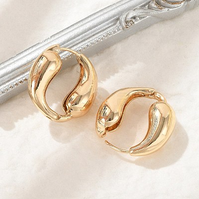 Brass Hoop Earrings for Women EJEW-U041-09G-1