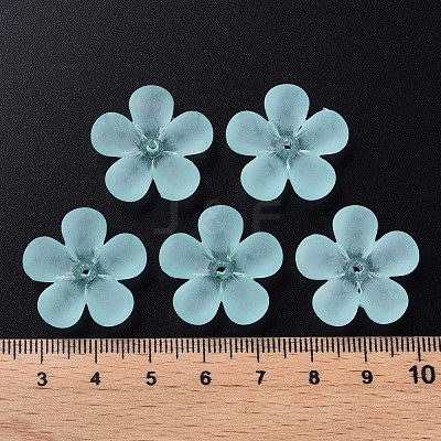 Transparent Acrylic Beads MACR-S373-116-D07-1