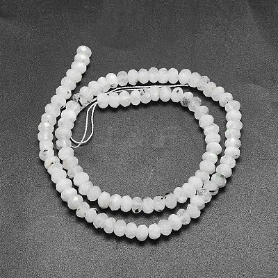 Natural Rainbow Moonstone Beads Strands G-O170-67C-1