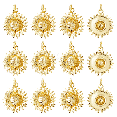 12Pcs Brass Pendants KK-HS0015-34-1