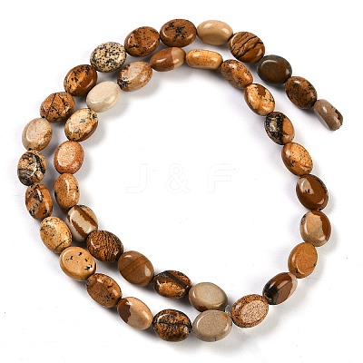 Natural Picture Jasper Beads Strands G-M420-D14-01-1
