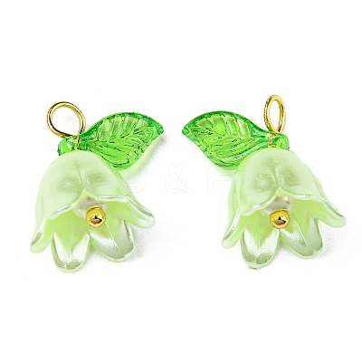 Acrylic Pendants OACR-D012-01E-1