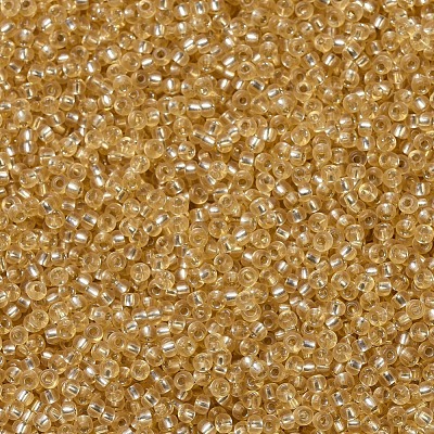 MIYUKI Round Rocailles Beads X-SEED-G007-RR0003-1